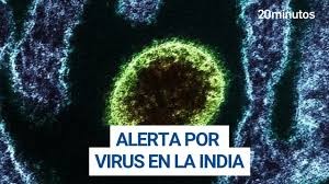 Alerta sanitaria en Asia: ¿Qué es el virus Nipah y por qué preocupa su letalidad de hasta el 75%?