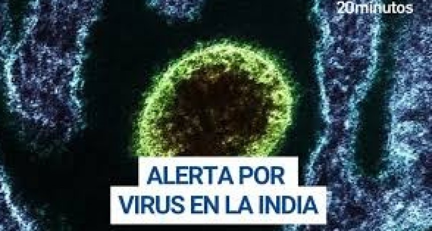 Alerta sanitaria en Asia: &iquest;Qu&eacute; es el virus Nipah y por qu&eacute; preocupa su letalidad de hasta el 75%?