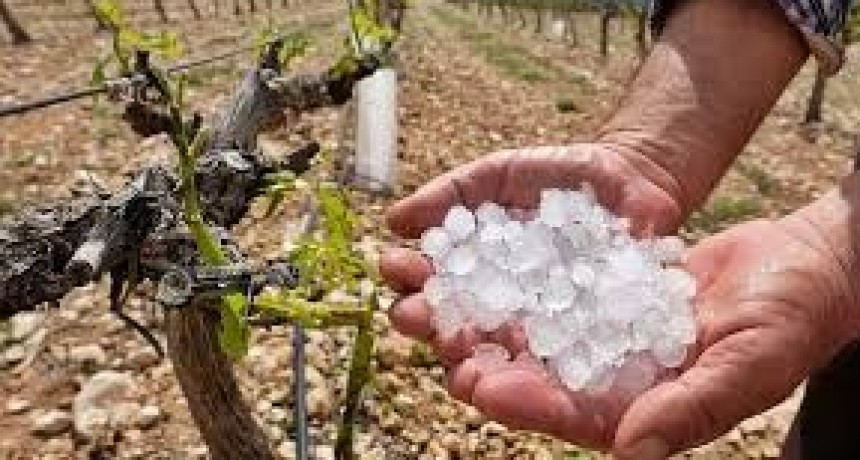 El Gobierno de San Juan relevó daños por granizo en zonas productivas