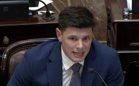 El oficialismo busca blindar su agenda en el Senado: "No venimos a sacar pensiones, sino a ordenarlas"