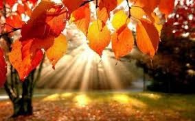 Oto&ntilde;o de extremos en San Juan: de una madrugada fr&iacute;a a una tarde primaveral