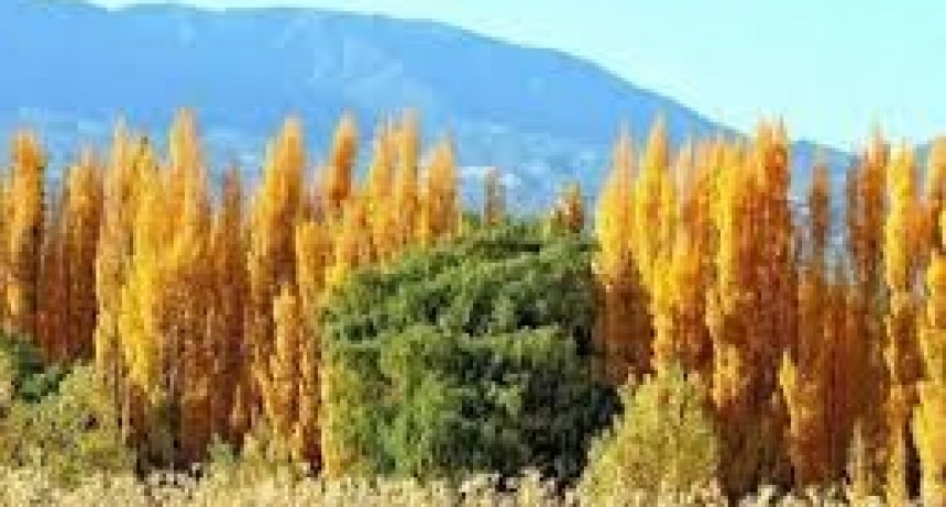 Domingo con clima templado y algo nublado en San Juan: máxima de 25°C