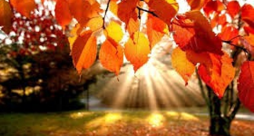 Clima en San Juan: lunes soleado y con temperatura agradable