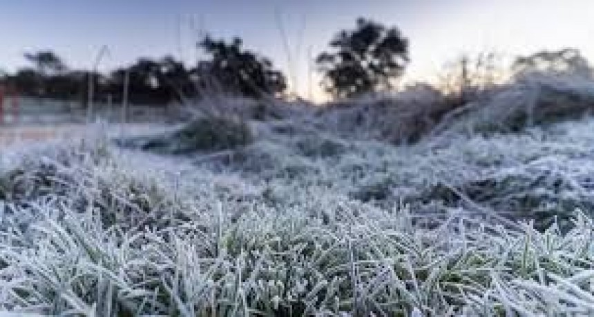 Heladas al amanecer y máxima de 18°C: el pronóstico para San Juan