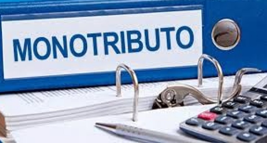 El Senado eliminó el Monotributo Social