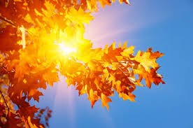 Martes soleado en San Juan: de 3 °C a 20 °C sin abrigos al mediodía