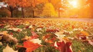 Miércoles fresco en San Juan: máxima de 20 °C y cielo algo nublado
