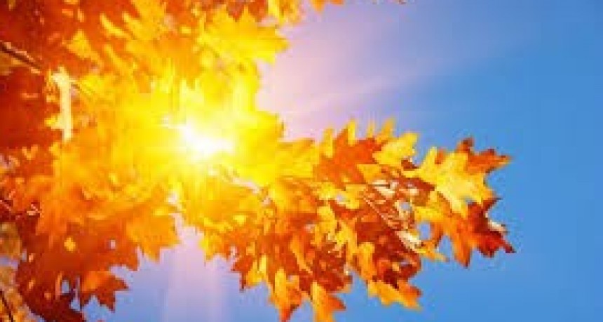 Martes soleado en San Juan: de 3 °C a 20 °C sin abrigos al mediodía