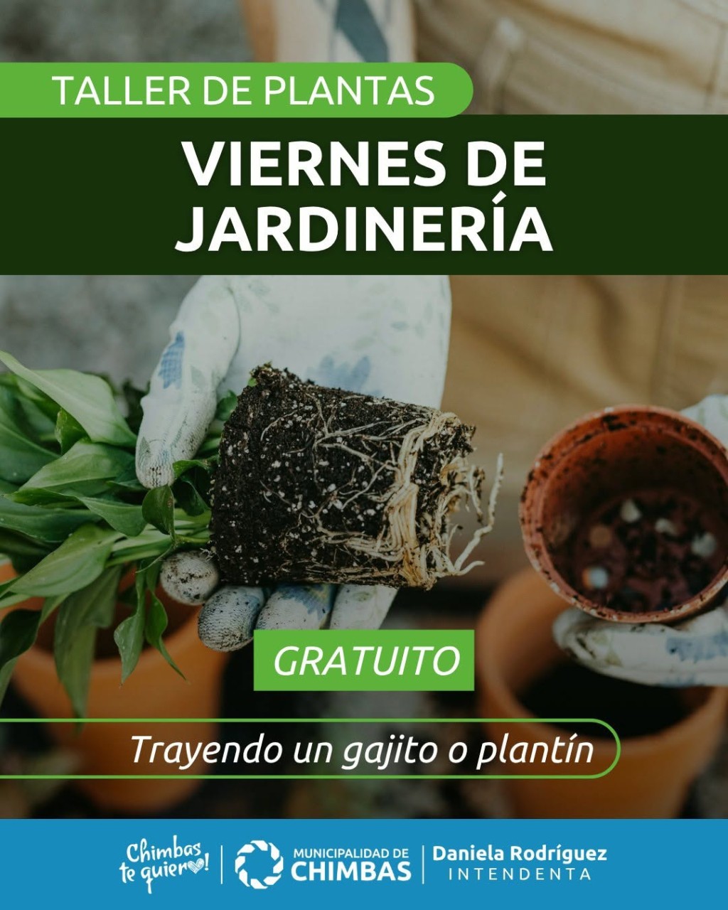 Inscripciones abiertas en Chimbas: dictar&aacute;n un taller gratuito de jardiner&iacute;a y plantas en El Mogote