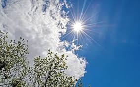 Viernes Soleado y Cálido en San Juan: Máxima de 21°C con Viento Norte