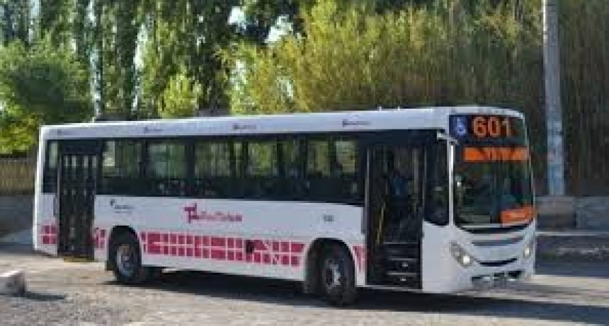 RedTulum: Nuevo Recorrido para la Línea 504 en Jáchal a Partir del Miércoles 23 de Julio