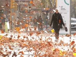 Domingo Frío y Ventoso en San Juan: Ráfagas de Viento de Hasta 60 km/h
