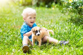 Día del Niño: Mundo Patitas Lanza una Alerta para No Regalar Cachorros
