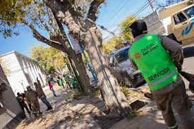 El operativo de poda continuará en Capital durante toda la semana