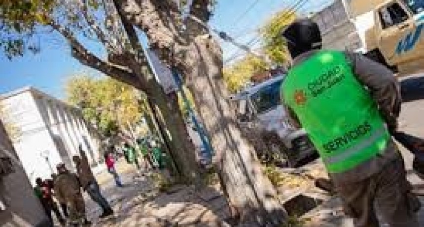 El operativo de poda continuará en Capital durante toda la semana