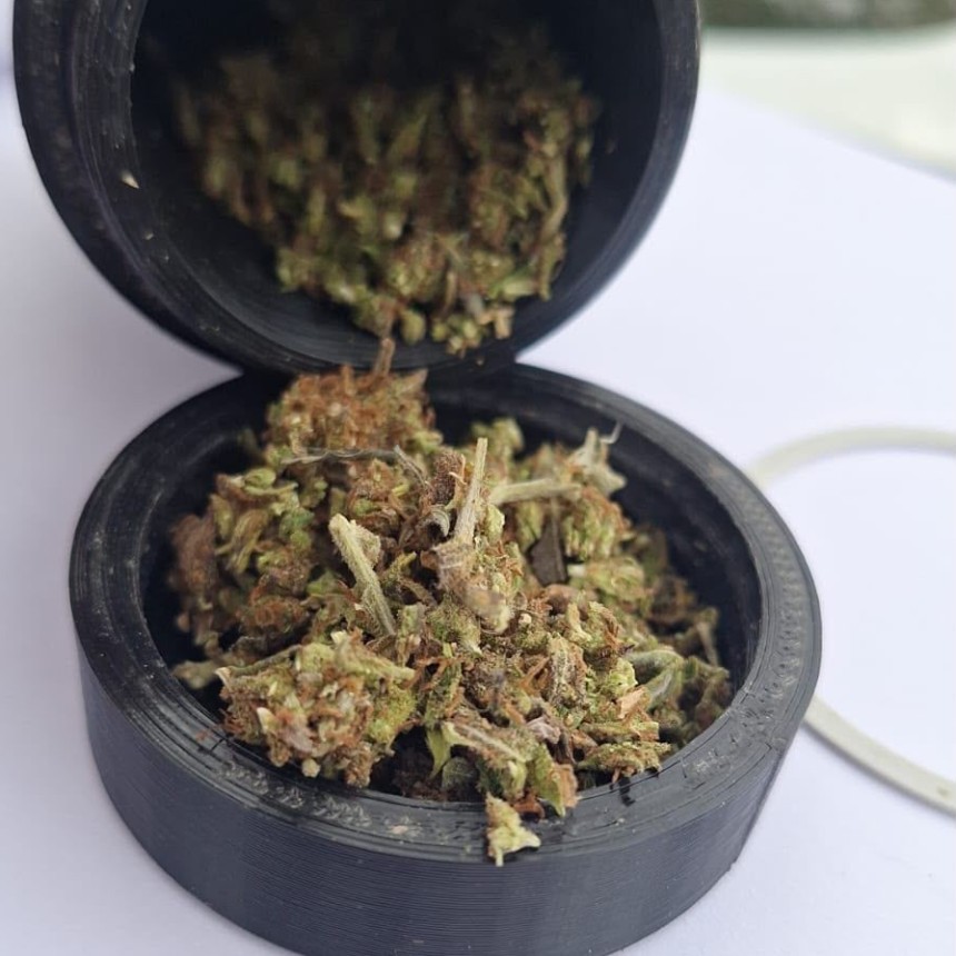  Intentaron entrar a una casa trepando un port&oacute;n y fueron detenidos: ten&iacute;an marihuana