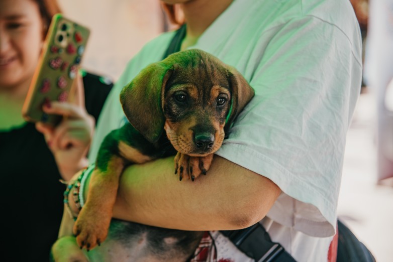 Atención veterinaria sin costo y con turno para cuidar la salud de tus mascotas