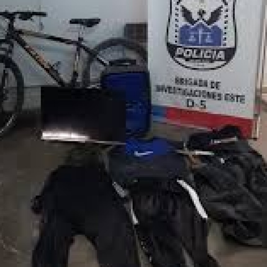 Detuvieron en Caucete y 25 de Mayo a banda de ladrones mendocinos