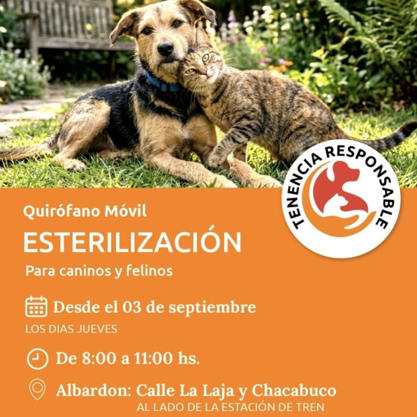 El Quir&oacute;fano M&oacute;vil llega a Albard&oacute;n: c&oacute;mo pedir turno para esterilizar perros y gatos