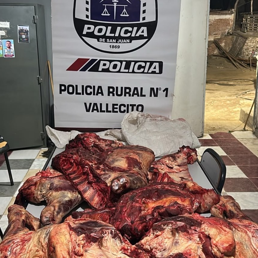 Decomisan 80 kilos de carne clandestina en el control de Vallecito: la llevaban en el asiento trasero de un auto