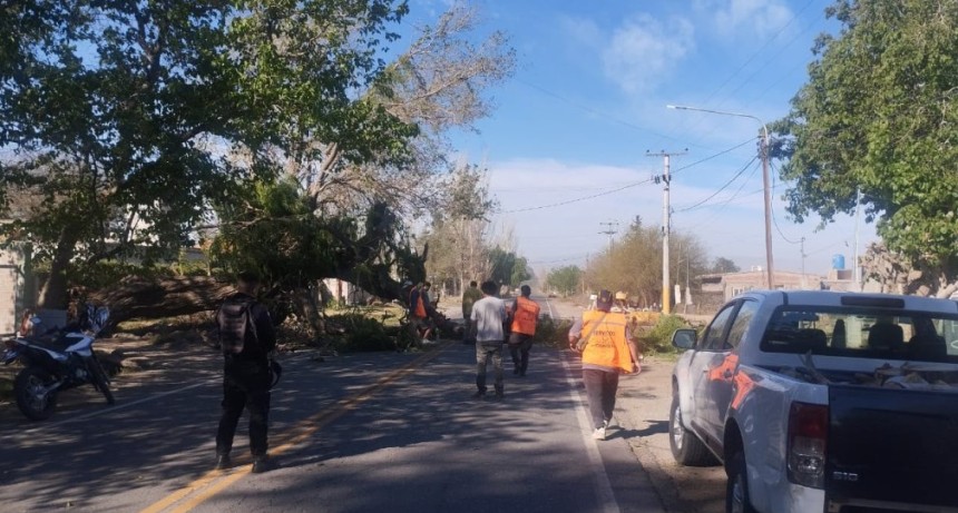 Chimbas coordina la asistencia ante reclamos por postes en riesgo tras las fuertes ráfagas de viento