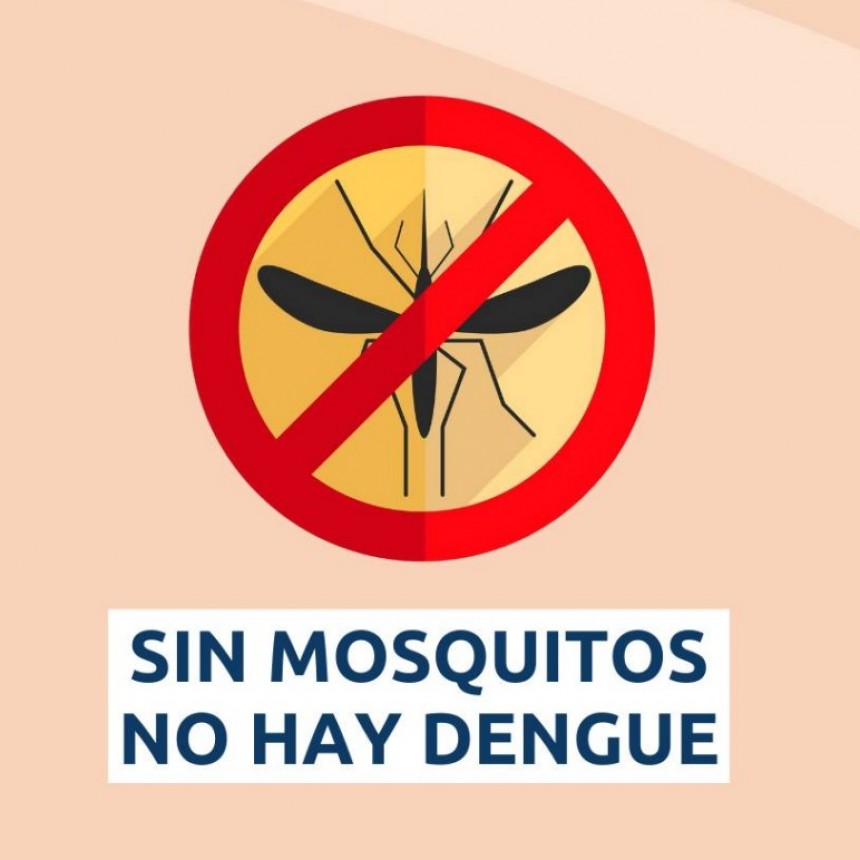EVITAR EL AUMENTO DE MOSQUITOS