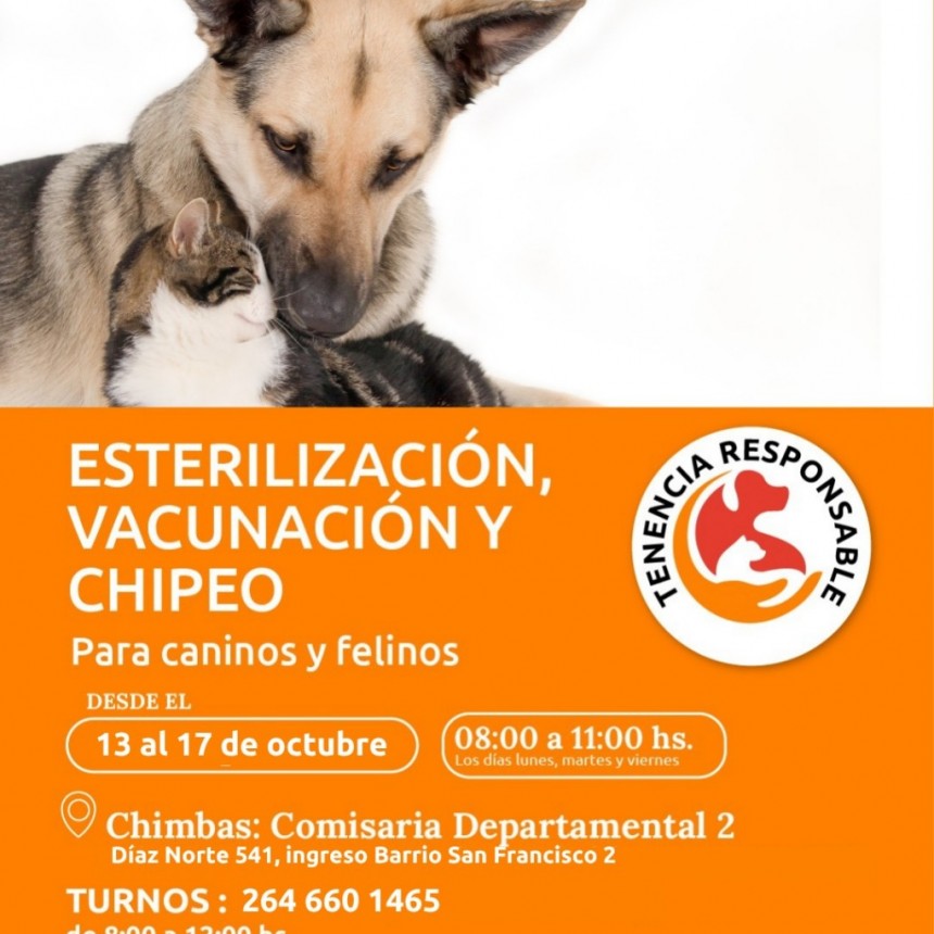 Operativo de Esterilización, Vacunación y Chipeo Gratis en Chimbas: Días, Turnos y Lugar