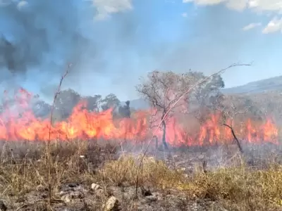 Ante la presencia de viento Zonda, extremar los cuidados y evitar la quema de pastizales*