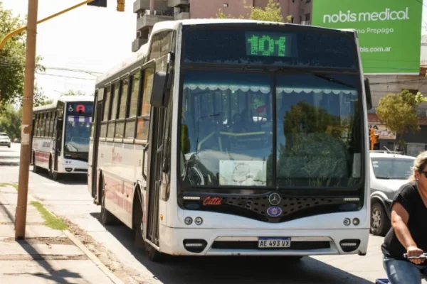 Ma&ntilde;ana sigue el paro de colectivos 