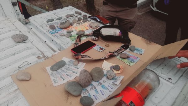 Rivadavia: intentaron robar una billetera y fueron atrapados tras una persecuci&oacute;n*