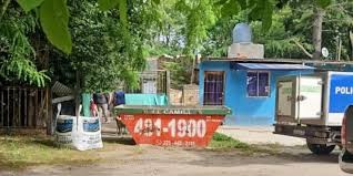 Conmoción en Mar del Plata: Mujer Envenenó a 28 Animales y Luego se Suicidó en Parque Hermoso