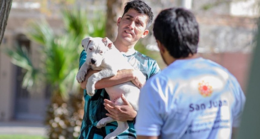 El quir&oacute;fano m&oacute;vil sigue recorriendo San Juan con esterilizaci&oacute;n gratuita